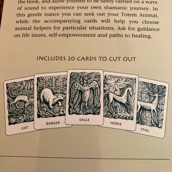 CELTIC TOTEM ANIMALS Book and Cards by John Matthews - Picture 4 of 14